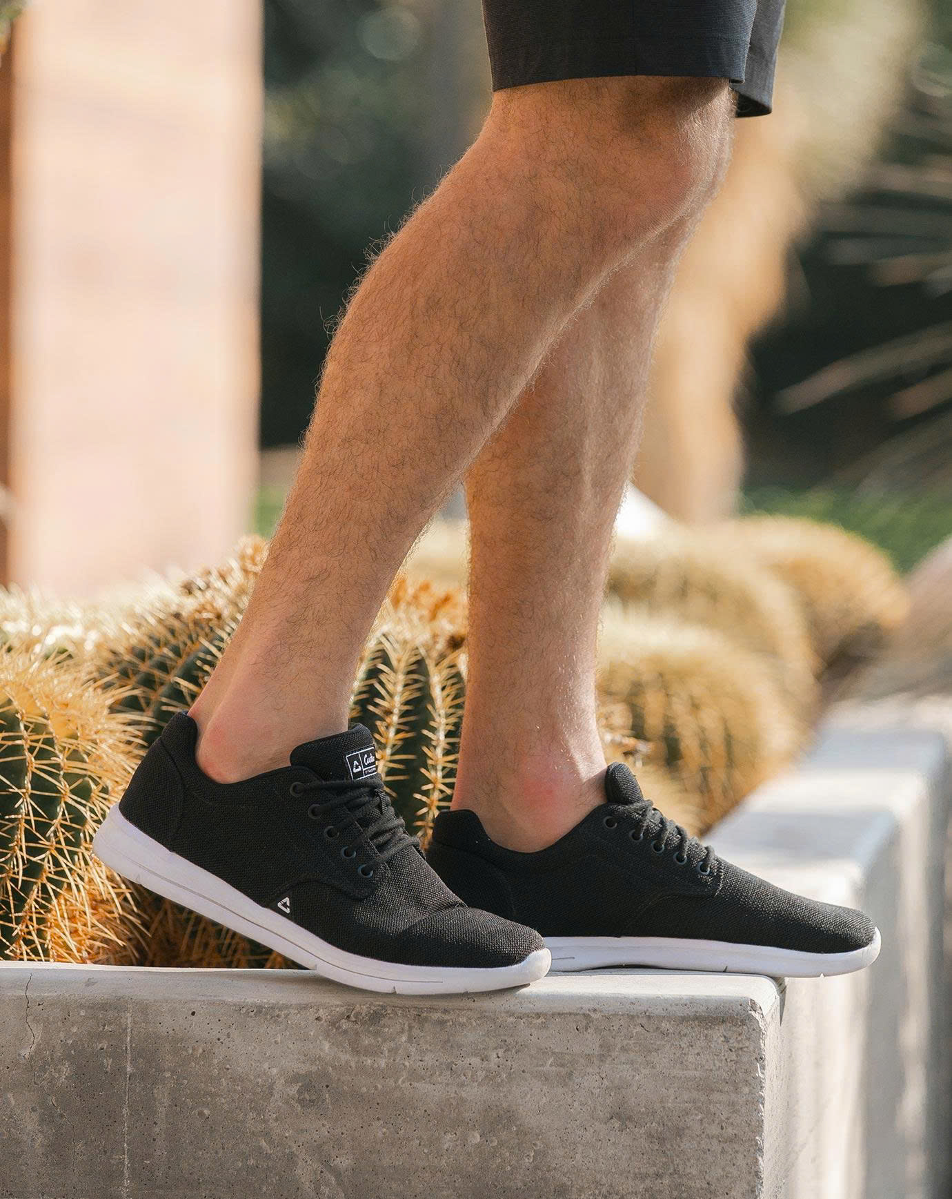 TravisMathew Store -TravisMathew Store z6735522685292 6f6b2187271b01ec8c039393ca0fe301